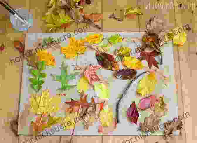 A Nature Collage Made With Leaves, Flowers, And Sticks Best Summer Ever: A Summer S Worth Of Fun Inexpensive Art Learning Projects To Occupy Kids 6 11 At Home For Hours At A Time