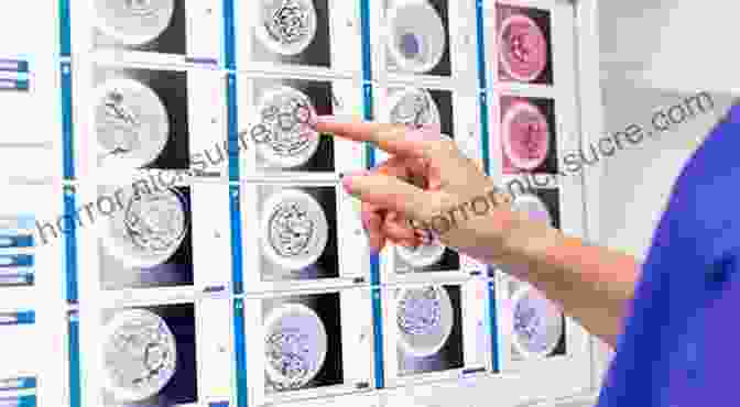 A Picture Of A Time Lapse Imaging System Being Used To Monitor Embryo Development Textbook Of Assisted Reproductive Techniques: Volume 1: Laboratory Perspectives (Reproductive Medicine And Assisted Reproductive Techniques Series)