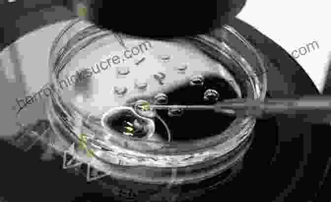 A Picture Of Preimplantation Genetic Testing Being Performed In A Laboratory Textbook Of Assisted Reproductive Techniques: Volume 1: Laboratory Perspectives (Reproductive Medicine And Assisted Reproductive Techniques Series)