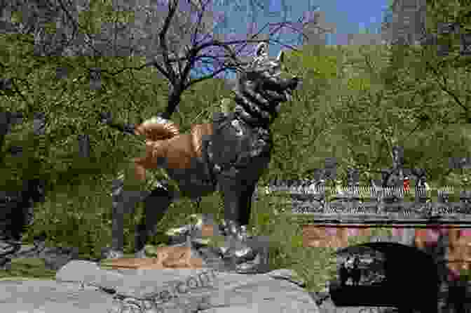 A Statue Of Balto In Central Park In New York City The Incredible Life Of Balto