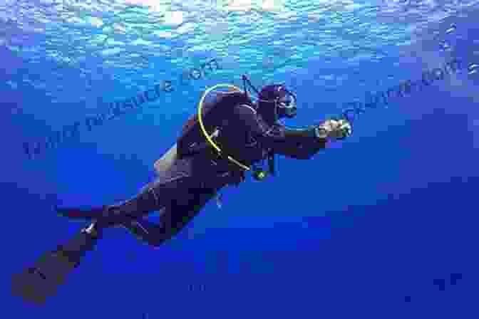 Person Diving In The Ocean With Dive Gear Your Career And/or Life As A Scuba Diving Instructor: How To Make A Good Living Out Of Your Passion For Diving (Dive Business Buddy)