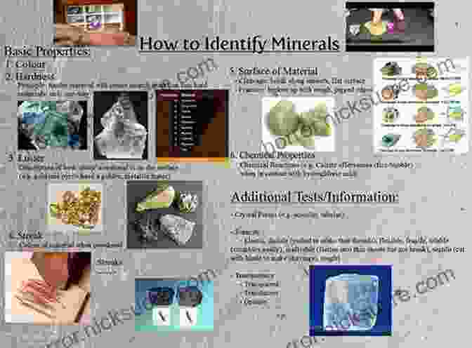 Visitors Using A Microscope To Identify A Mineral Specimen At New York Rocks Minerals New York Rocks Minerals: A Field Guide To The Empire State (Rocks Minerals Identification Guides)