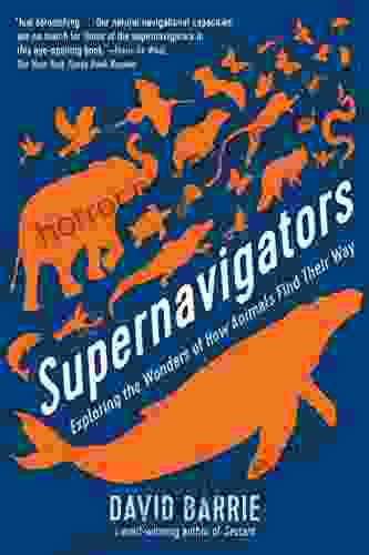 Supernavigators: Exploring The Wonders Of How Animals Find Their Way