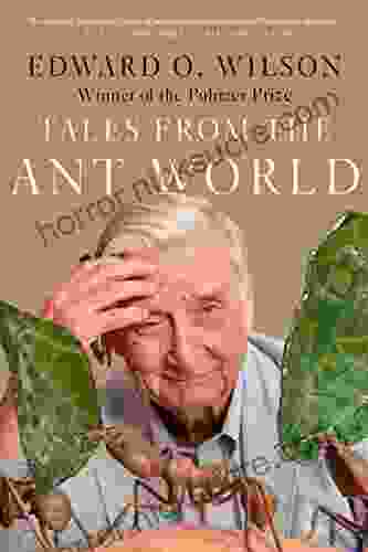 Tales from the Ant World